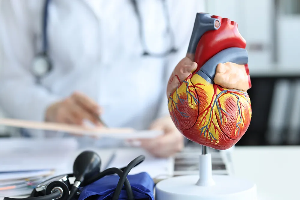 Cardiologo en Pachuca